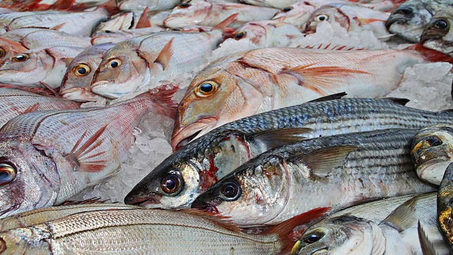 Japón desarrolla sistema matemático para determinar la frescura del pescado Revista Industria Alimentaria Japón desarrolla sistema matemático para determinar la frescura del pescado Revista Industria Alimentaria